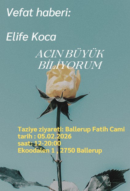 elife koca